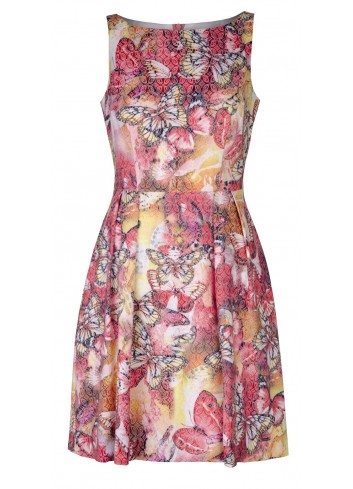 Sukienka Cleo motyle